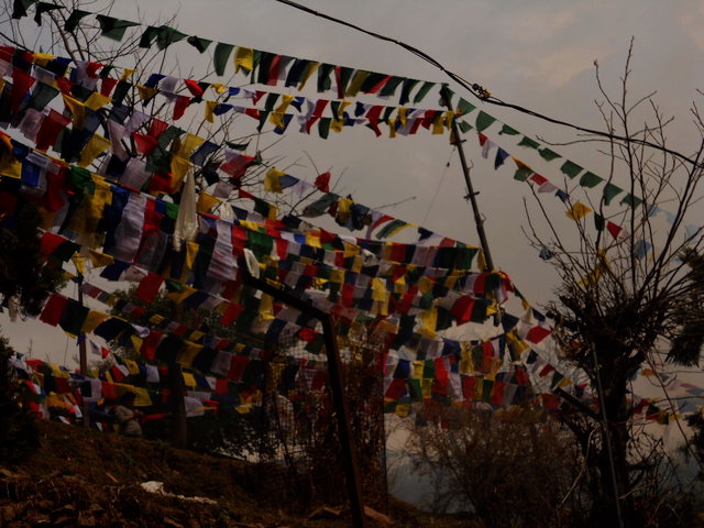 インド48日目：マクロードガンジでチベット映画上映